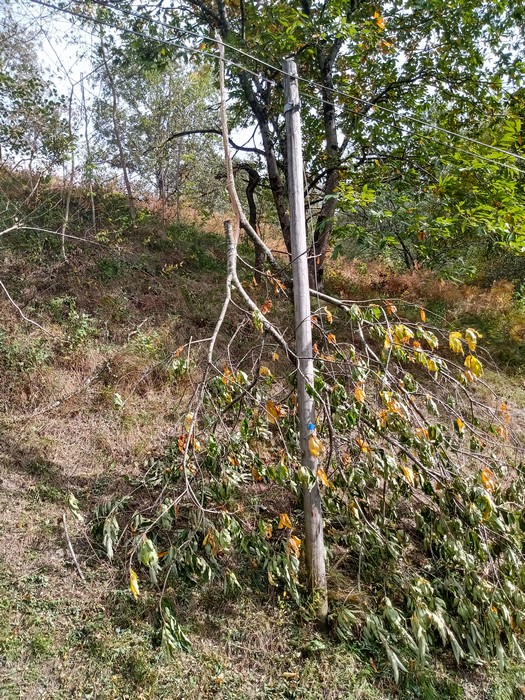 Antena arrenkürak!! beha Euskal irratiak